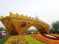 迎“一带一路”盛会 北京布置多处主题花坛